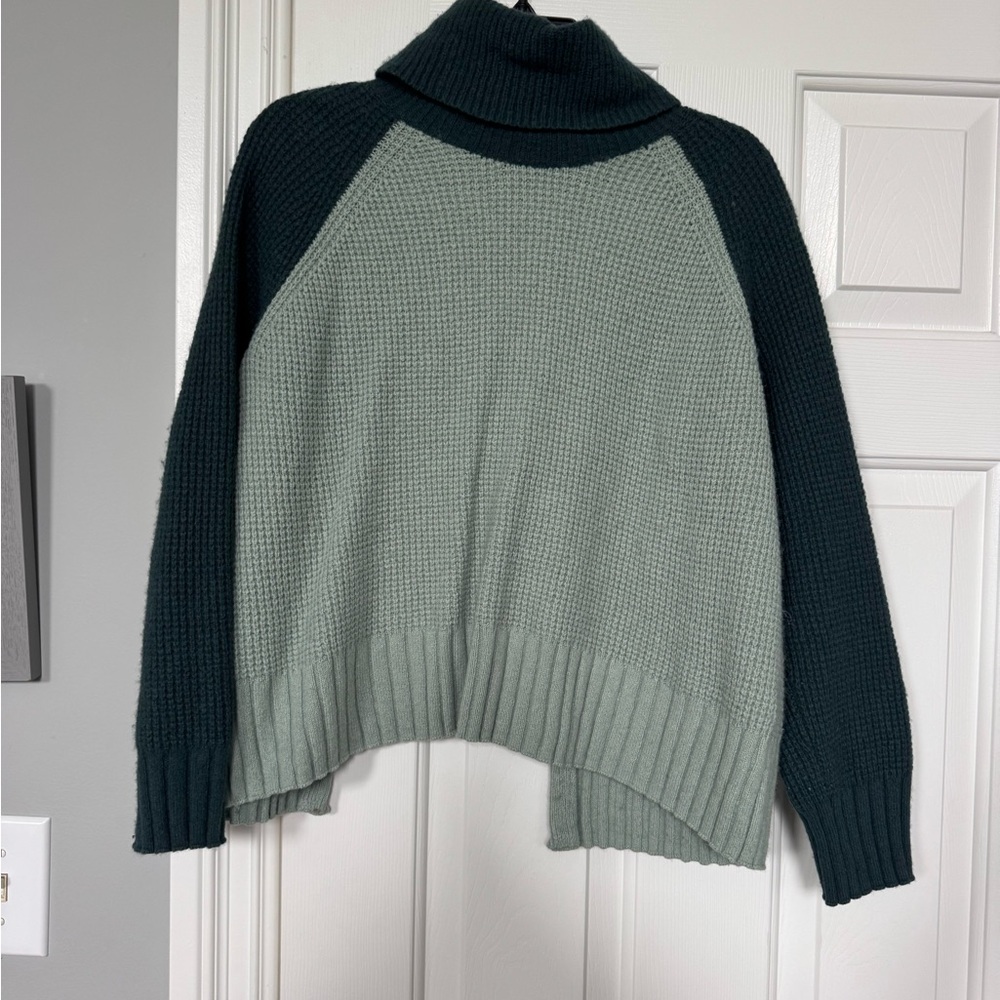 Madewell Two-Tone Sage and Forest Green Turtleneck Sweater